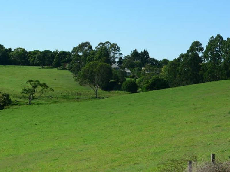 Affittacamere Jandar Retreat Maleny Esterno foto